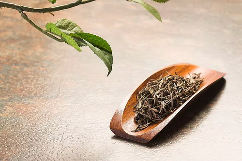 普茸茶是红茶还是绿茶_红茶和绿茶的制作原理