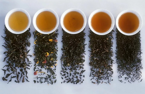 红茶的产地是哪儿_熟茶与红茶工艺区别