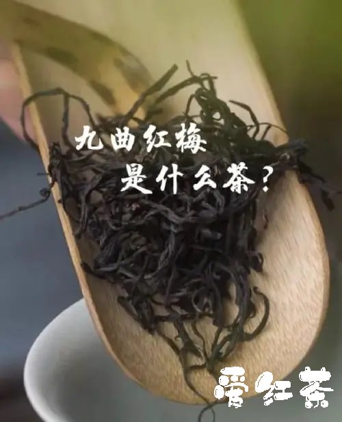 九曲红梅茶制作工艺 中国红茶传统