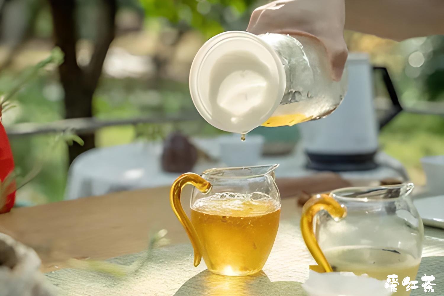 夏至喝茶指南：最佳选择、泡法和喝法
