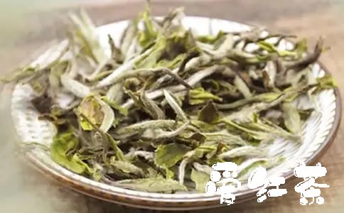 南山白毛茶：一款品质卓越的珍稀茶品