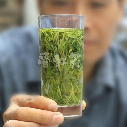 享受自然之美：探讨安徽茶叶的价格与喝茶的习惯利益