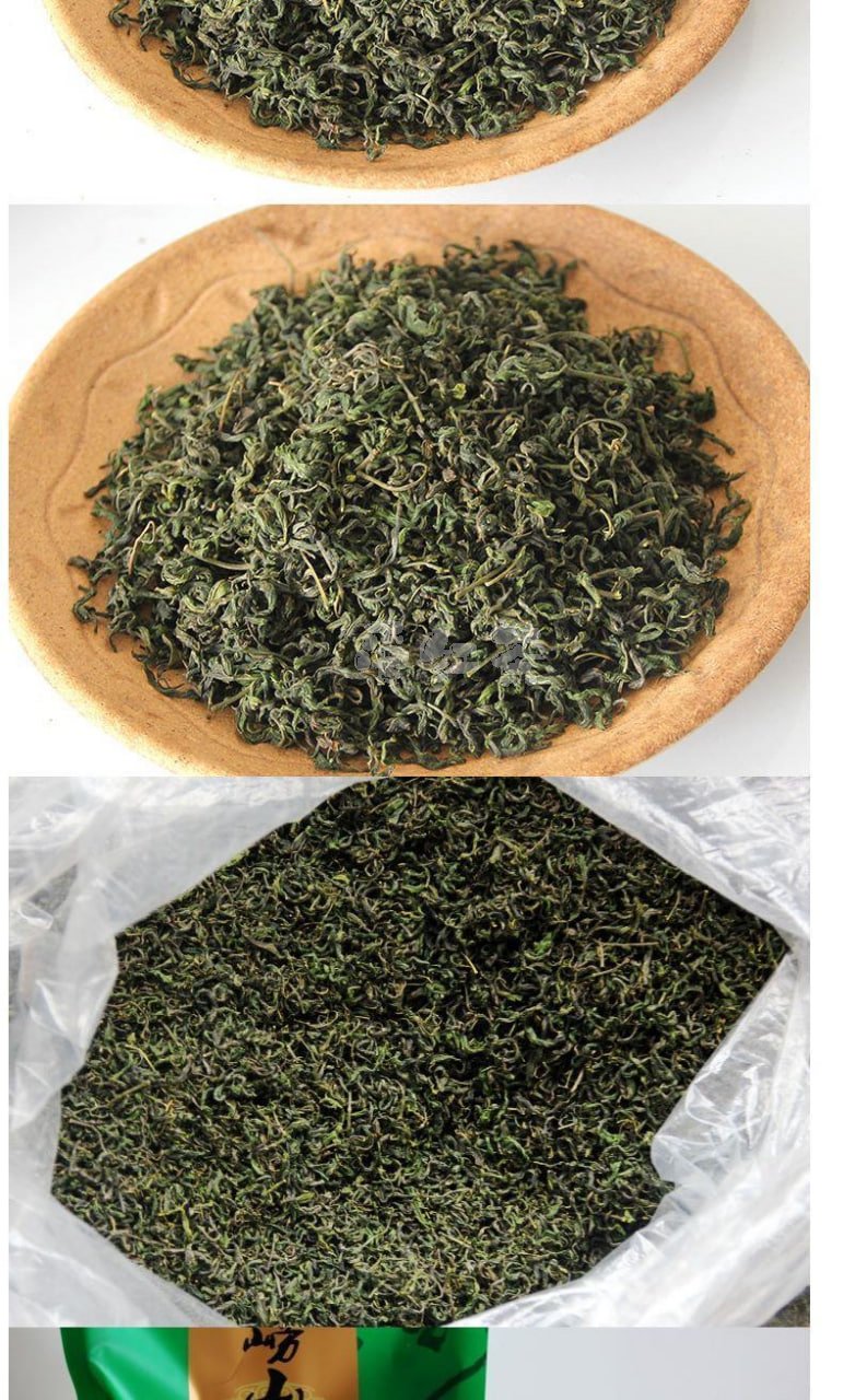 【崂山茶】——优质绿茶的品质特征和制作工艺