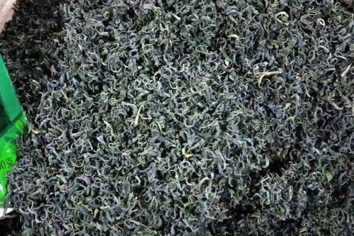 毛尖茶——高品质的绿茶之王