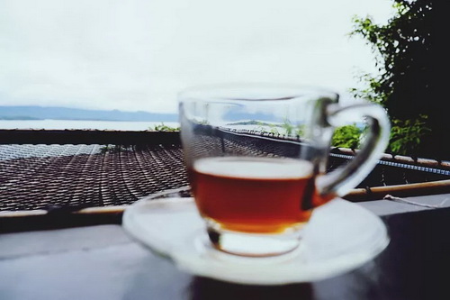 云南冰岛普洱茶寻踪_云南小叶种茶叶做的茶不是普洱茶