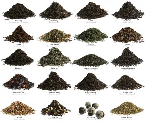 弯弓普洱茶特点_六堡茶与普洱茶属性和特点的区别